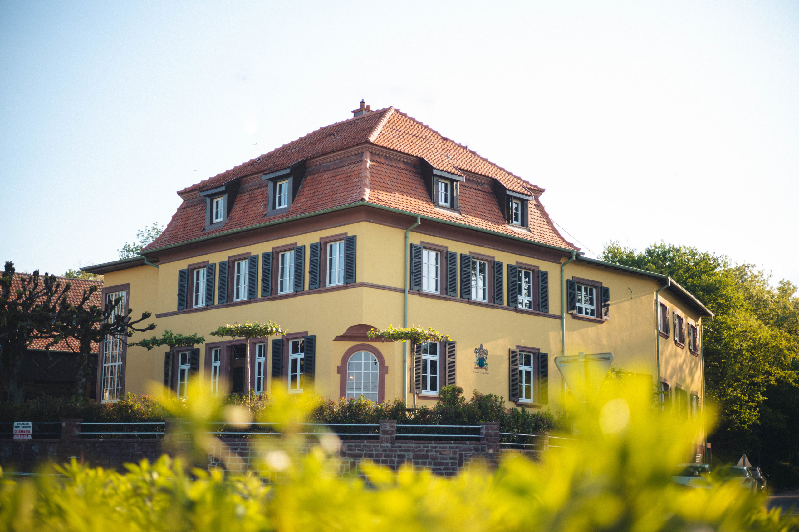 The Restaurant Amitié opens its doors for you in Hartmannswiller in Alsace in a beautiful 1900 historic building near the Château Ollwiller and its vineyards.